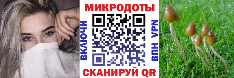 Галлюциногенные грибы Psilocybe наркотики Куртамыш