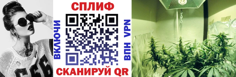 наркошоп Куртамыш Каннабис THC 21%